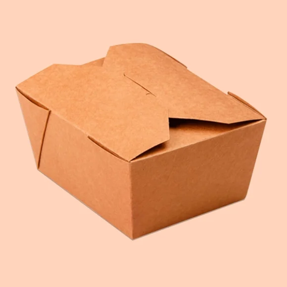 Biodegradable Food Packaging - Image 2