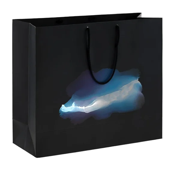 Custom Shopping Bags - Image 4